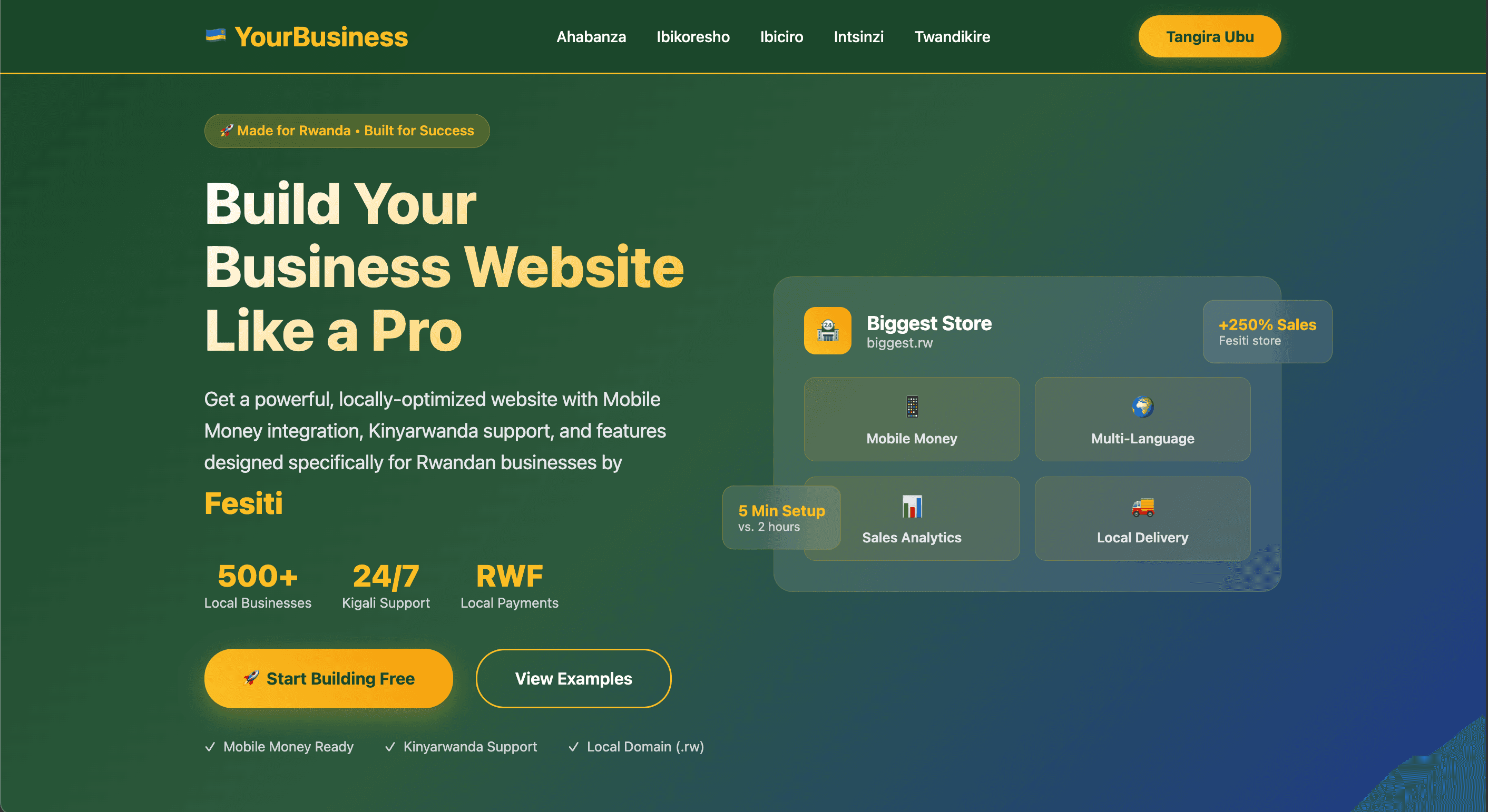 Website Preview